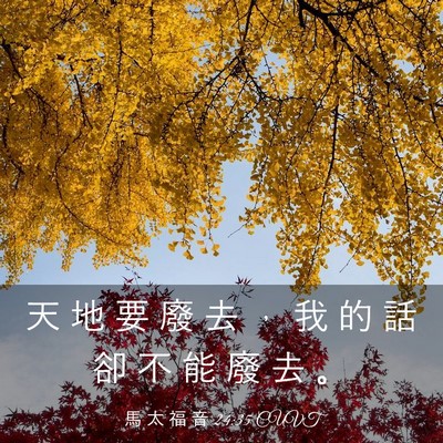 Picture 03 - 馬 太 福 音 24:35 CUVT - 天 地 要 廢 去 ， 我 的 話 卻 不 能 - Bible Verse Picture