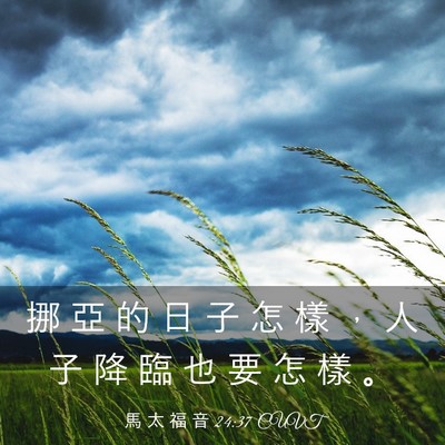 Picture 03 - 馬 太 福 音 24:37 CUVT - 挪 亞 的 日 子 怎 樣 ， 人 子 降 臨 - Bible Verse Picture