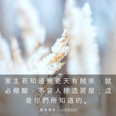 Picture 03 - 馬 太 福 音 24:43 CUVT - 家 主 若 知 道 幾 更 天 有 賊 來 ， - Bible Verse Picture
