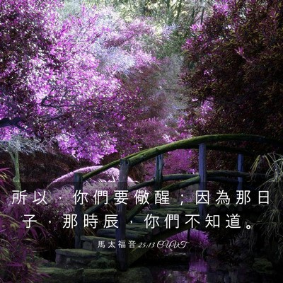 Picture 03 - 馬 太 福 音 25:13 CUVT - 所 以 ， 你 們 要 儆 醒 ； 因 為 那 - Bible Verse Picture