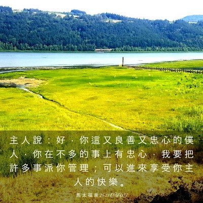 Picture 03 - 馬 太 福 音 25:21 CUVT - 主 人 說 ： 好 ， 你 這 又 良 善 又 - Bible Verse Picture