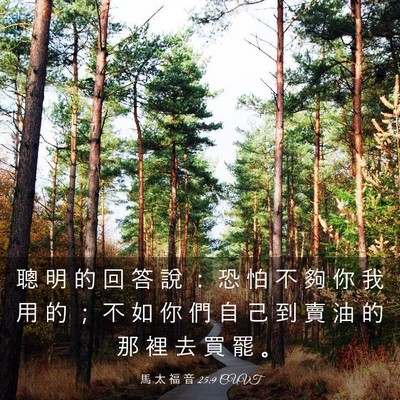 Picture 03 - 馬 太 福 音 25:9 CUVT - 聰 明 的 回 答 說 ： 恐 怕 不 夠 你 - Bible Verse Picture
