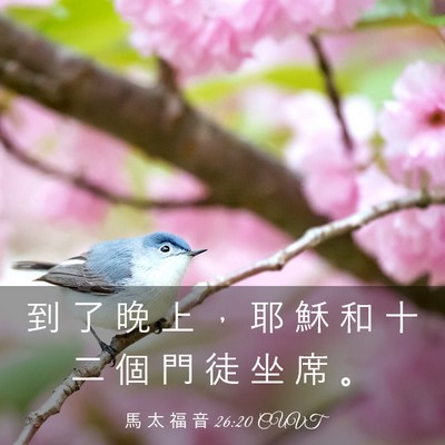 Picture 03 - 馬 太 福 音 26:20 CUVT - 到 了 晚 上 ， 耶 穌 和 十 二 個 門 - Bible Verse Picture