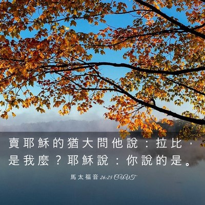 Picture 03 - 馬 太 福 音 26:25 CUVT - 賣 耶 穌 的 猶 大 問 他 說 ： 拉 比 - Bible Verse Picture