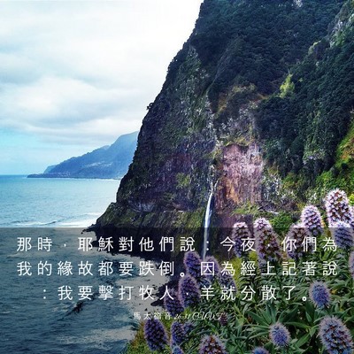 Picture 03 - 馬 太 福 音 26:31 CUVT - 那 時 ， 耶 穌 對 他 們 說 ： 今 夜 - Bible Verse Picture