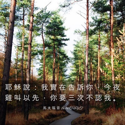 Picture 03 - 馬 太 福 音 26:34 CUVT - 耶 穌 說 ： 我 實 在 告 訴 你 ， 今 - Bible Verse Picture