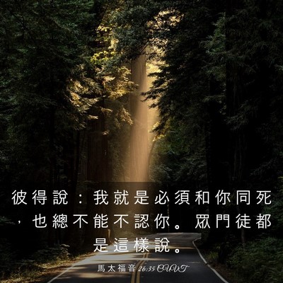 Picture 03 - 馬 太 福 音 26:35 CUVT - 彼 得 說 ： 我 就 是 必 須 和 你 同 - Bible Verse Picture