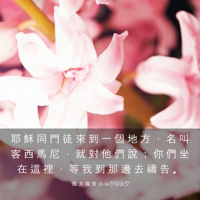 Picture 03 - 馬 太 福 音 26:36 CUVT - 耶 穌 同 門 徒 來 到 一 個 地 方 ， - Bible Verse Picture