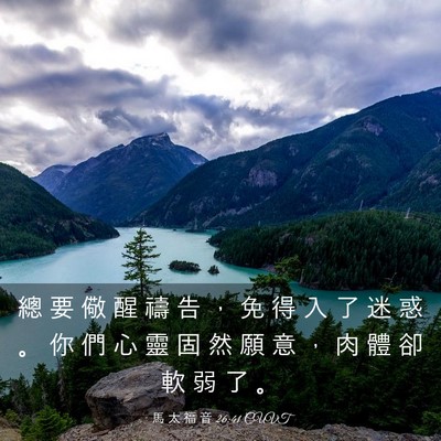 Picture 03 - 馬 太 福 音 26:41 CUVT - 總 要 儆 醒 禱 告 ， 免 得 入 了 迷 - Bible Verse Picture