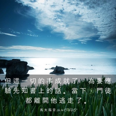 Picture 03 - 馬 太 福 音 26:56 CUVT - 但 這 一 切 的 事 成 就 了 ， 為 要 - Bible Verse Picture