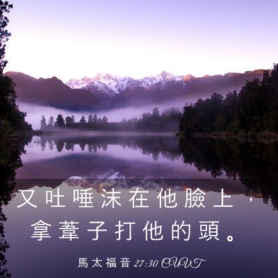 Picture 03 - 馬 太 福 音 27:30 CUVT - 又 吐 唾 沫 在 他 臉 上 ， 拿 葦 子 - Bible Verse Picture