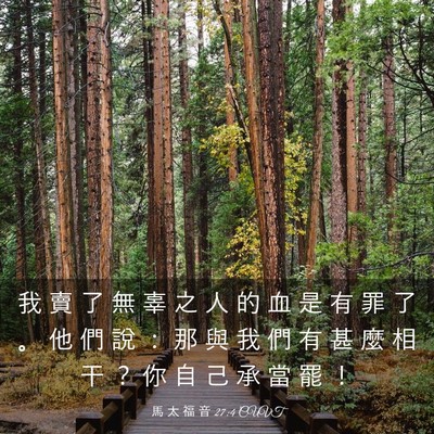 Picture 03 - 馬 太 福 音 27:4 CUVT - 我 賣 了 無 辜 之 人 的 血 是 有 罪 - Bible Verse Picture