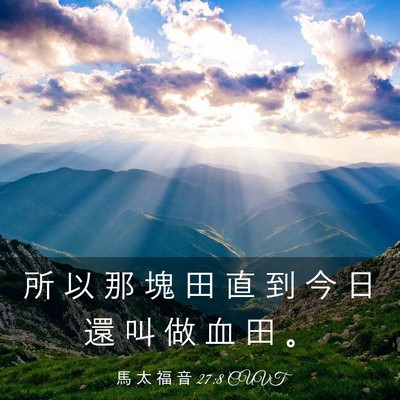 Picture 03 - 馬 太 福 音 27:8 CUVT - 所 以 那 塊 田 直 到 今 日 還 叫 做 - Bible Verse Picture
