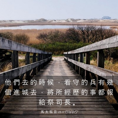 Picture 03 - 馬 太 福 音 28:11 CUVT - 他 們 去 的 時 候 ， 看 守 的 兵 有 - Bible Verse Picture