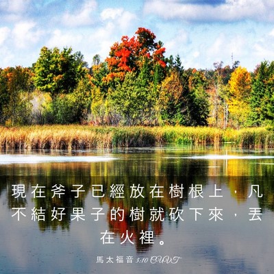 Picture 03 - 馬 太 福 音 3:10 CUVT - 現 在 斧 子 已 經 放 在 樹 根 上 ， - Bible Verse Picture