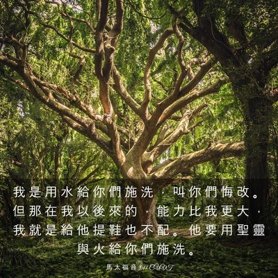 Picture 03 - 馬 太 福 音 3:11 CUVT - 我 是 用 水 給 你 們 施 洗 ， 叫 你 - Bible Verse Picture