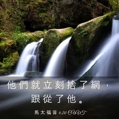 Picture 03 - 馬 太 福 音 4:20 CUVT - 他 們 就 立 刻 捨 了 網 ， 跟 從 了 - Bible Verse Picture