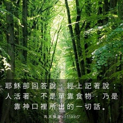 Picture 03 - 馬 太 福 音 4:4 CUVT - 耶 穌 卻 回 答 說 ： 經 上 記 著 說 - Bible Verse Picture