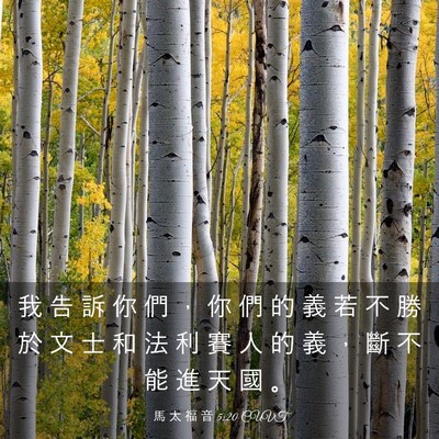 Picture 03 - 馬 太 福 音 5:20 CUVT - 我 告 訴 你 們 ， 你 們 的 義 若 不 - Bible Verse Picture