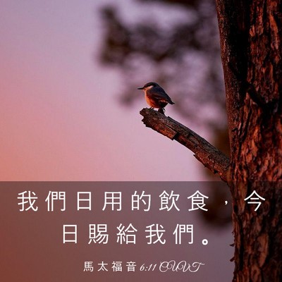 Picture 03 - 馬 太 福 音 6:11 CUVT - 我 們 日 用 的 飲 食 ， 今 日 賜 給 - Bible Verse Picture