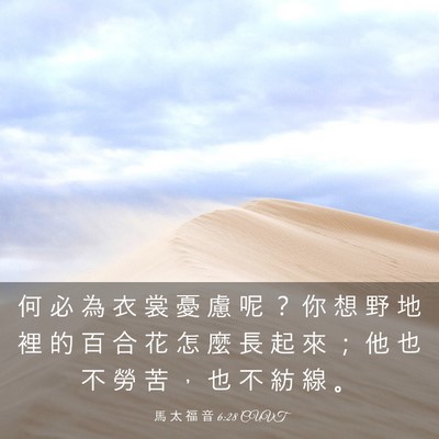 Picture 03 - 馬 太 福 音 6:28 CUVT - 何 必 為 衣 裳 憂 慮 呢 ？ 你 想 野 - Bible Verse Picture