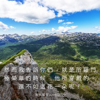 Picture 03 - 馬 太 福 音 6:29 CUVT - 然 而 我 告 訴 你 們 ， 就 是 所 羅 - Bible Verse Picture