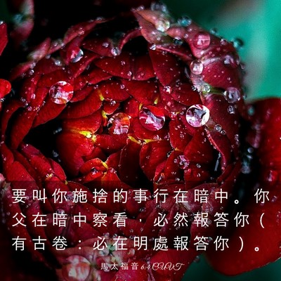 Picture 03 - 馬 太 福 音 6:4 CUVT - 要 叫 你 施 捨 的 事 行 在 暗 中 。 - Bible Verse Picture