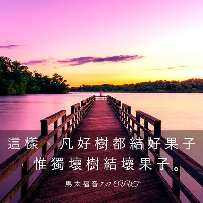 Picture 03 - 馬 太 福 音 7:17 CUVT - 這 樣 ， 凡 好 樹 都 結 好 果 子 ， - Bible Verse Picture