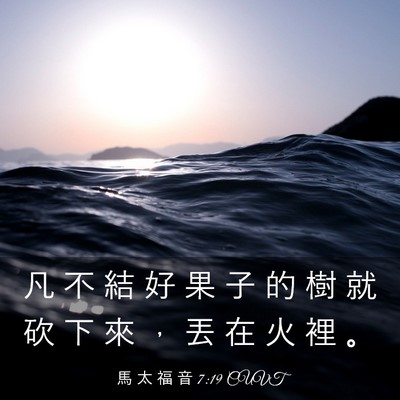 Picture 03 - 馬 太 福 音 7:19 CUVT - 凡 不 結 好 果 子 的 樹 就 砍 下 來 - Bible Verse Picture