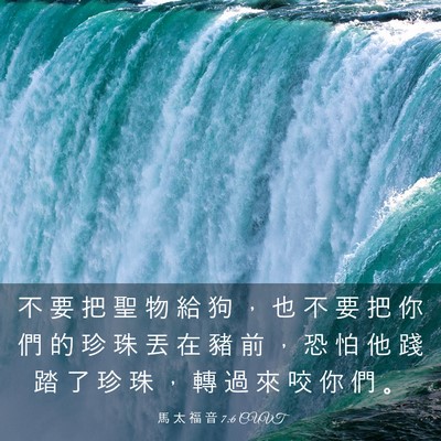 Picture 03 - 馬 太 福 音 7:6 CUVT - 不 要 把 聖 物 給 狗 ， 也 不 要 把 - Bible Verse Picture