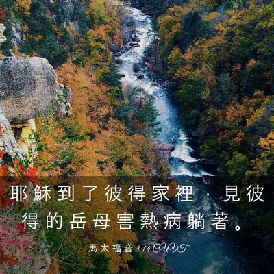 Picture 03 - 馬 太 福 音 8:14 CUVT - 耶 穌 到 了 彼 得 家 裡 ， 見 彼 得 - Bible Verse Picture
