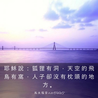Picture 03 - 馬 太 福 音 8:20 CUVT - 耶 穌 說 ： 狐 狸 有 洞 ， 天 空 的 - Bible Verse Picture