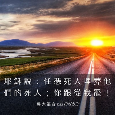 Picture 03 - 馬 太 福 音 8:22 CUVT - 耶 穌 說 ： 任 憑 死 人 埋 葬 他 們 - Bible Verse Picture