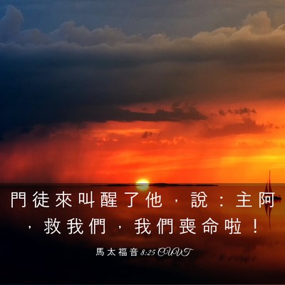 Picture 03 - 馬 太 福 音 8:25 CUVT - 門 徒 來 叫 醒 了 他 ， 說 ： 主 阿 - Bible Verse Picture