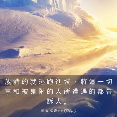 Picture 03 - 馬 太 福 音 8:33 CUVT - 放 豬 的 就 逃 跑 進 城 ， 將 這 一 - Bible Verse Picture