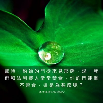 Picture 03 - 馬 太 福 音 9:14 CUVT - 那 時 ， 約 翰 的 門 徒 來 見 耶 穌 - Bible Verse Picture