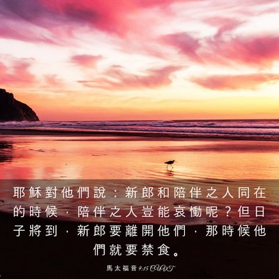 Picture 03 - 馬 太 福 音 9:15 CUVT - 耶 穌 對 他 們 說 ： 新 郎 和 陪 伴 - Bible Verse Picture