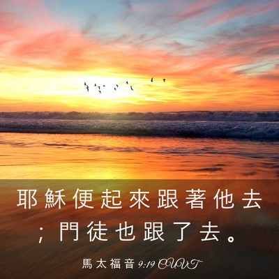 Picture 03 - 馬 太 福 音 9:19 CUVT - 耶 穌 便 起 來 跟 著 他 去 ； 門 徒 - Bible Verse Picture
