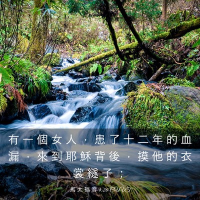 Picture 03 - 馬 太 福 音 9:20 CUVT - 有 一 個 女 人 ， 患 了 十 二 年 的 - Bible Verse Picture
