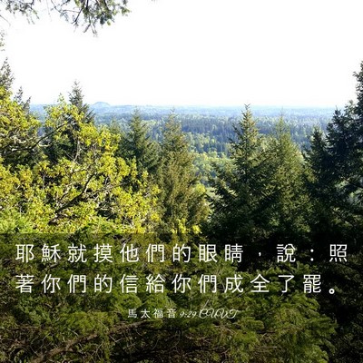 Picture 03 - 馬 太 福 音 9:29 CUVT - 耶 穌 就 摸 他 們 的 眼 睛 ， 說 ： - Bible Verse Picture