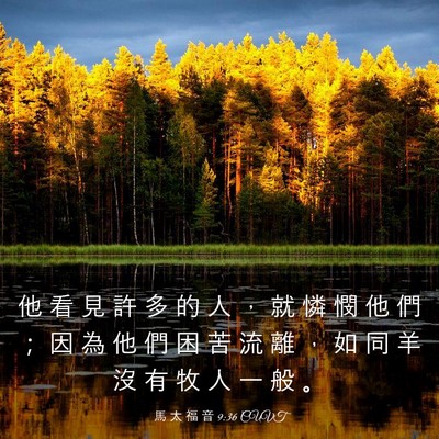 Picture 03 - 馬 太 福 音 9:36 CUVT - 他 看 見 許 多 的 人 ， 就 憐 憫 他 - Bible Verse Picture