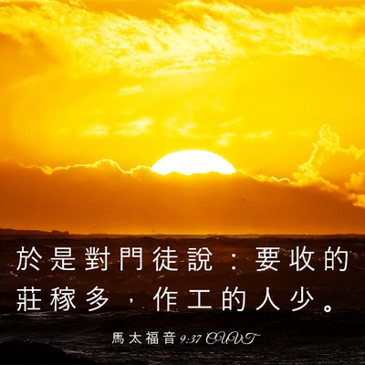 Picture 03 - 馬 太 福 音 9:37 CUVT - 於 是 對 門 徒 說 ： 要 收 的 莊 稼 - Bible Verse Picture