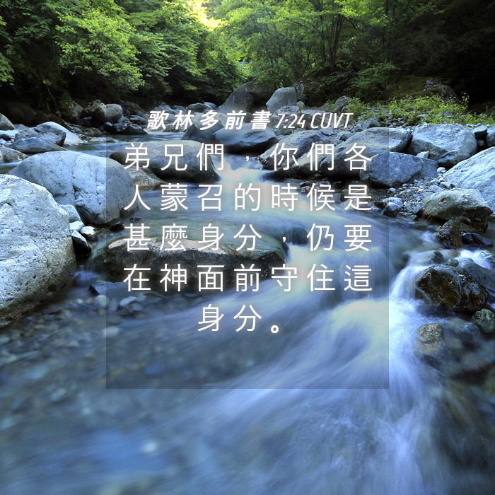 歌 林 多 前 書 7:24 CUVT - 弟 兄 們 , 你 們 各 人 蒙 召 的 時