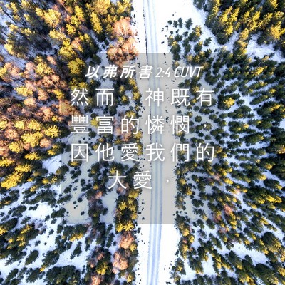 Picture 04 - 以 弗 所 書 2:4 CUVT - 然 而 ， 神 既 有 豐 富 的 憐 憫 ， - Bible Verse Picture