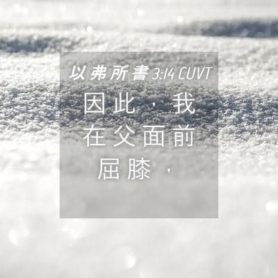 Picture 04 - 以 弗 所 書 3:14 CUVT - 因 此 ， 我 在 父 面 前 屈 膝 - Bible Verse Picture