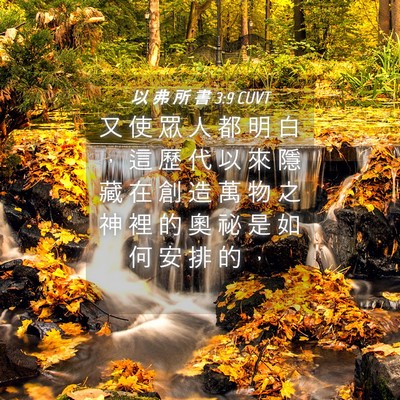 Picture 04 - 以 弗 所 書 3:9 CUVT - 又 使 眾 人 都 明 白 ， 這 歷 代 以 - Bible Verse Picture