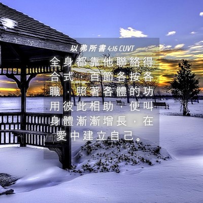 Picture 04 - 以 弗 所 書 4:16 CUVT - 全 身 都 靠 他 聯 絡 得 合 式 ， 百 - Bible Verse Picture