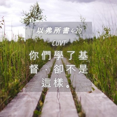 Picture 04 - 以 弗 所 書 4:20 CUVT - 你 們 學 了 基 督 ， 卻 不 是 這 樣 - Bible Verse Picture