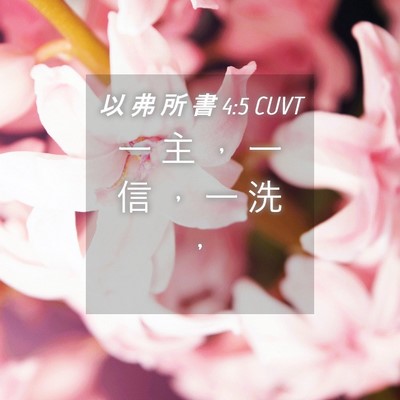 Picture 04 - 以 弗 所 書 4:5 CUVT - 一 主 ， 一 信 ， 一 洗 - Bible Verse Picture