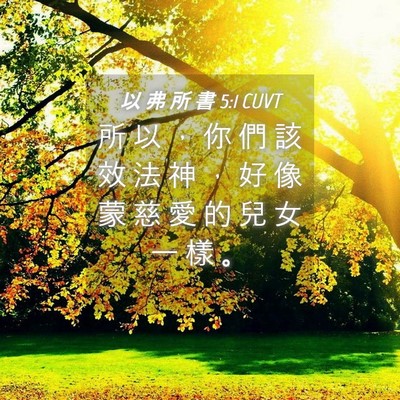 Picture 04 - 以 弗 所 書 5:1 CUVT - 所 以 ， 你 們 該 效 法 神 ， 好 像 - Bible Verse Picture